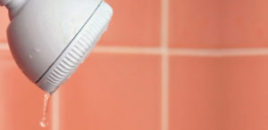 Photo from http://www.showerremedy.com